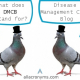 Disease Management Care Blog