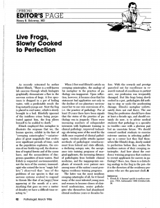 live-frogs-slowly-cooked-to-perfection